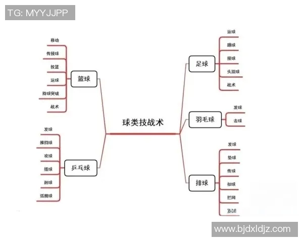 杭州篮球队总决赛速度表现分析与战术探讨
