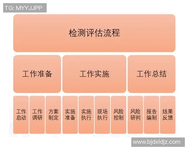 武汉排球队战术分析与表现评估全面解读